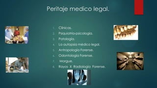 1. Clínicas.
2. Psiquiatría-psicología.
3. Patología.
4. La autopsia médico legal.
5. Antropología Forense.
6. Odontología Forense.
7. Morgue.
8. Rayos X Radiología Forense.
Peritaje medico legal.
 