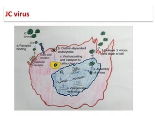 JC virus
 