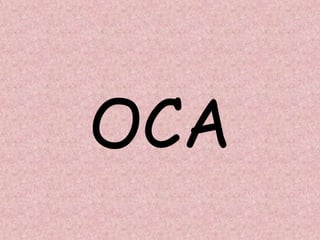 OCA
 