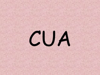 CUA
 