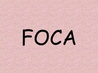 FOCA
 