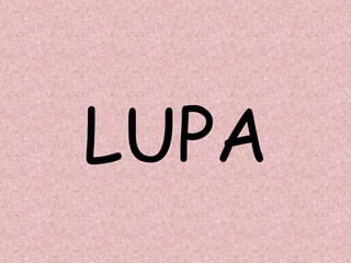 LUPA
 