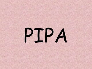 PIPA
 
