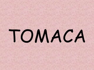 TOMACA
 