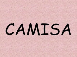 CAMISA
 