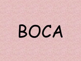 BOCA
 
