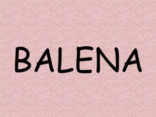 BALENA
 
