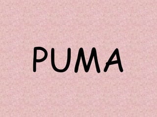 PUMA
 