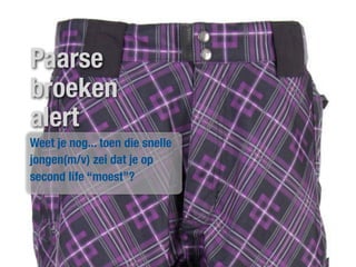 Paarse
broeken
alert
Weet je nog... toen die snelle
jongen(m/v) zei dat je op
second life “moest”?
 