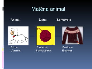 Matèria animal Animal  Llana  Samarreta  Primer  Producte  Producte  L’animal.  Semielaborat.  Elaborat.  