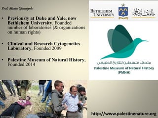 http://www.palestinenature.org
Prof. Mazin Qumsiyeh
• Previously at Duke and Yale, now
Bethlehem University. Founded
number of laboratories (& organizations
on human rights)
• Clinical and Research Cytogenetics
Laboratory, Founded 2009
• Palestine Museum of Natural History,
Founded 2014
 