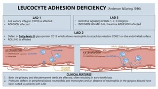 Lad Defect ROLE OF NEUTROPHILS IN HEALTH & DISEASE.pptx | Blood Disorders ...