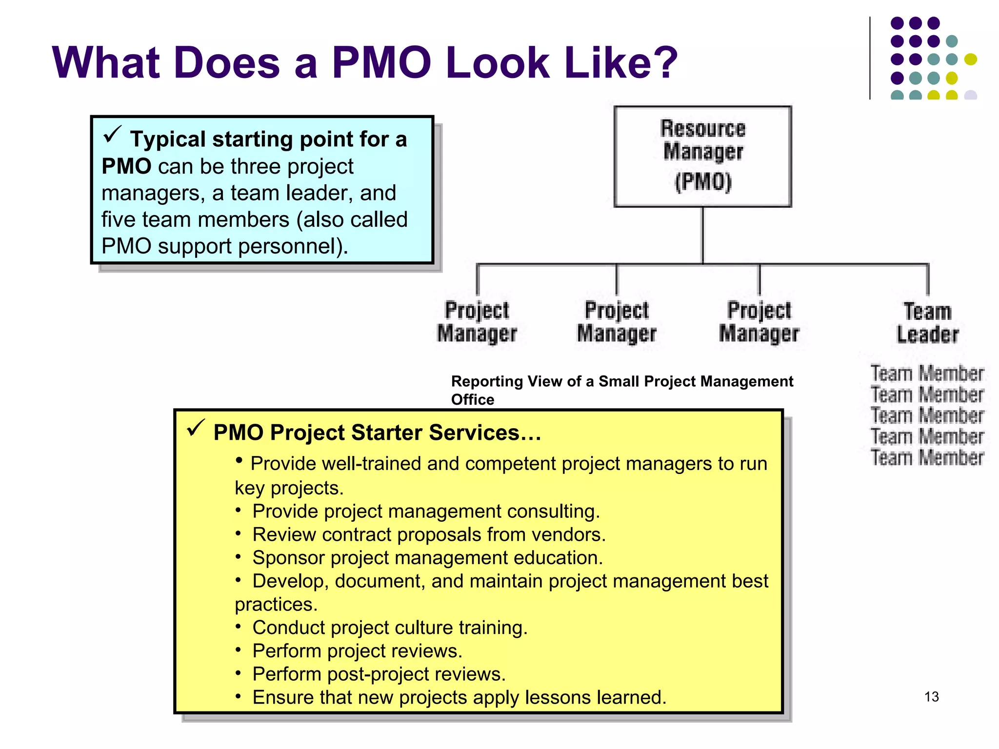 What Does a PMO Look Like? Typical starting point for a PMO  can be three project managers, a team leader, and five team members (also called PMO support personnel).  PMO Project Starter Services… Provide well-trained and competent project managers to run key projects. Provide project management consulting.  Review contract proposals from vendors. Sponsor project management education. Develop, document, and maintain project management best practices. Conduct project culture training. Perform project reviews. Perform post-project reviews. Ensure that new projects apply lessons learned.  Reporting View of a Small Project Management Office  