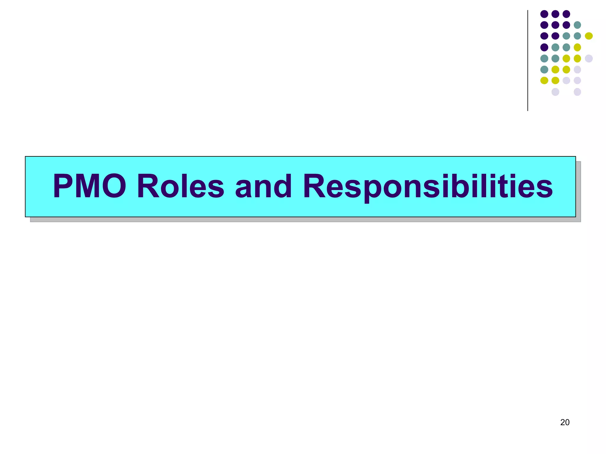 PMO Roles and Responsibilities 