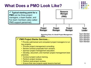 What Does a PMO Look Like? Typical starting point for a PMO  can be three project managers, a team leader, and five team members (also called PMO support personnel).  PMO Project Starter Services… Provide well-trained and competent project managers to run key projects. Provide project management consulting.  Review contract proposals from vendors. Sponsor project management education. Develop, document, and maintain project management best practices. Conduct project culture training. Perform project reviews. Perform post-project reviews. Ensure that new projects apply lessons learned.  Reporting View of a Small Project Management Office  