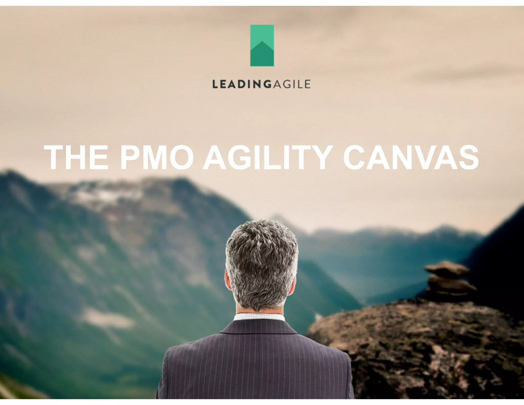 THE PMO AGILITY CANVAS
 