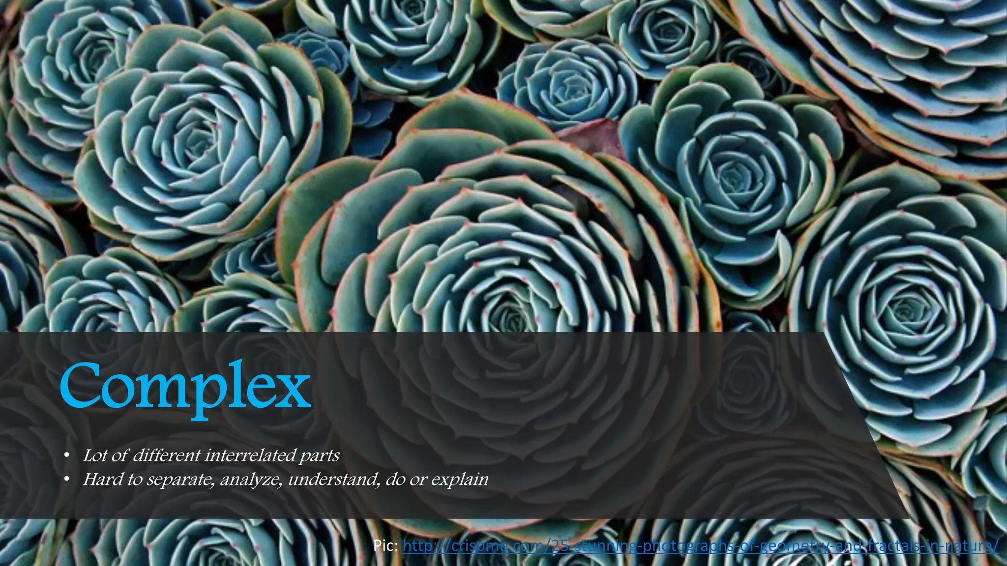 Complex
• Lot of different interrelated parts
• Hard to separate, analyze, understand, do or explain
Pic: http://crispme.com/25-stunning-photographs-of-geometry-and-fractals-in-nature/
 