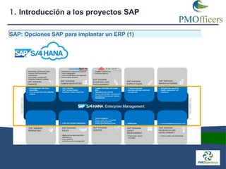 El papel de la PMO en proyectos de SAP