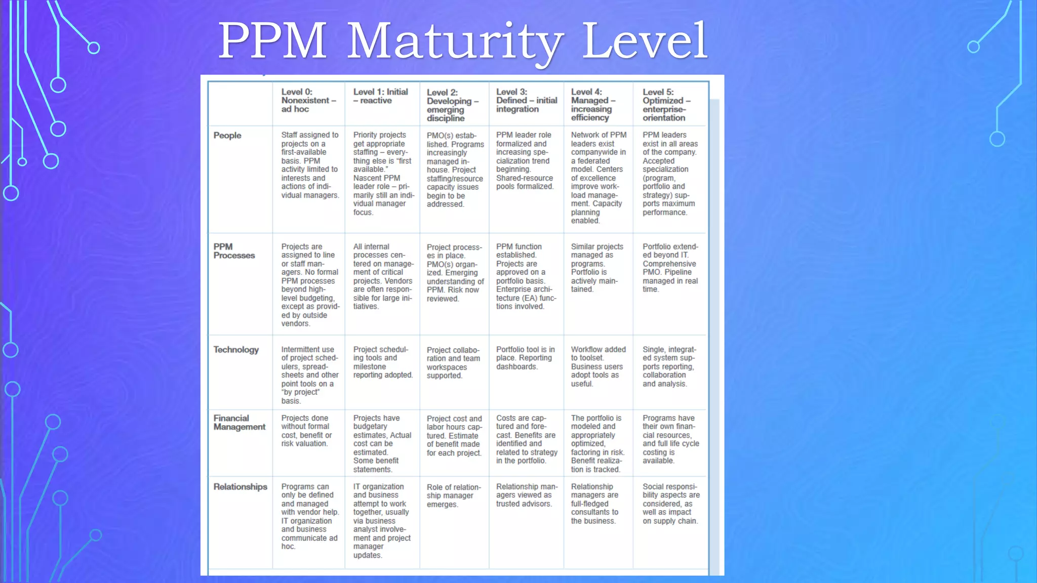PPM Maturity Level
 