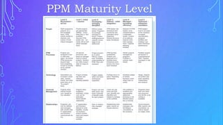 PPM Maturity Level
 