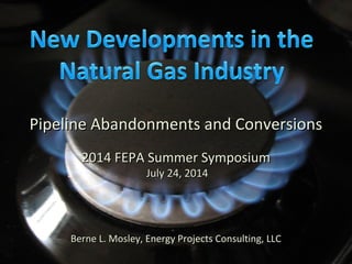 Pipeline Abandonments and ConversionsPipeline Abandonments and Conversions
2014 FEPA Summer Symposium2014 FEPA Summer Symposium
July 24, 2014July 24, 2014
Berne L. Mosley, Energy Projects Consulting, LLCBerne L. Mosley, Energy Projects Consulting, LLC
 