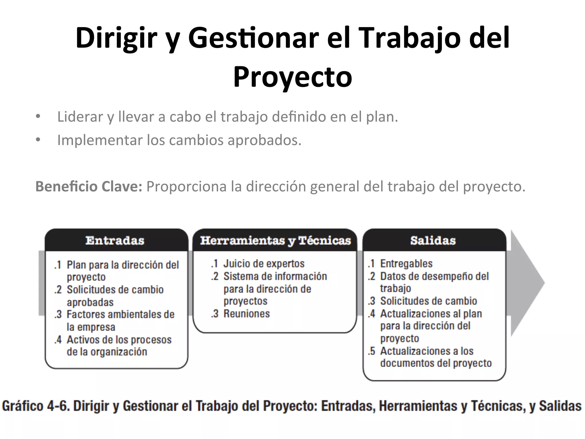 Dirigir	
  y	
  Ges1onar	
  el	
  Trabajo	
  del	
  
Proyecto	
  
•  Liderar	
  y	
  llevar	
  a	
  cabo	
  el	
  trabajo	
  deﬁnido	
  en	
  el	
  plan.	
  
•  Implementar	
  los	
  cambios	
  aprobados.	
  
	
  
Beneﬁcio	
  Clave:	
  Proporciona	
  la	
  dirección	
  general	
  del	
  trabajo	
  del	
  proyecto.	
  
 