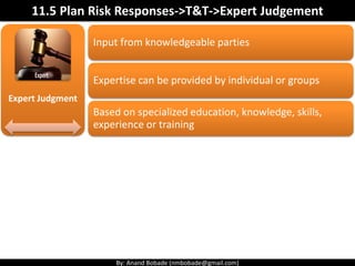 Expert Judgment Risk Technique Pmp chap 11 - project risk management - Part 2 | PDF