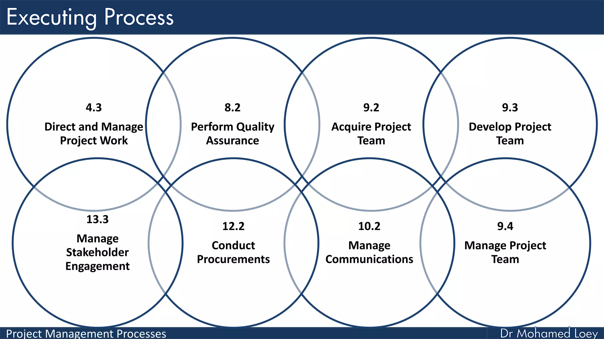 Project Management Processes
4.3
Direct and Manage
Project Work
8.2
Perform Quality
Assurance
9.2
Acquire Project
Team
9.3
Develop Project
Team
9.4
Manage Project
Team
10.2
Manage
Communications
12.2
Conduct
Procurements
13.3
Manage
Stakeholder
Engagement
 