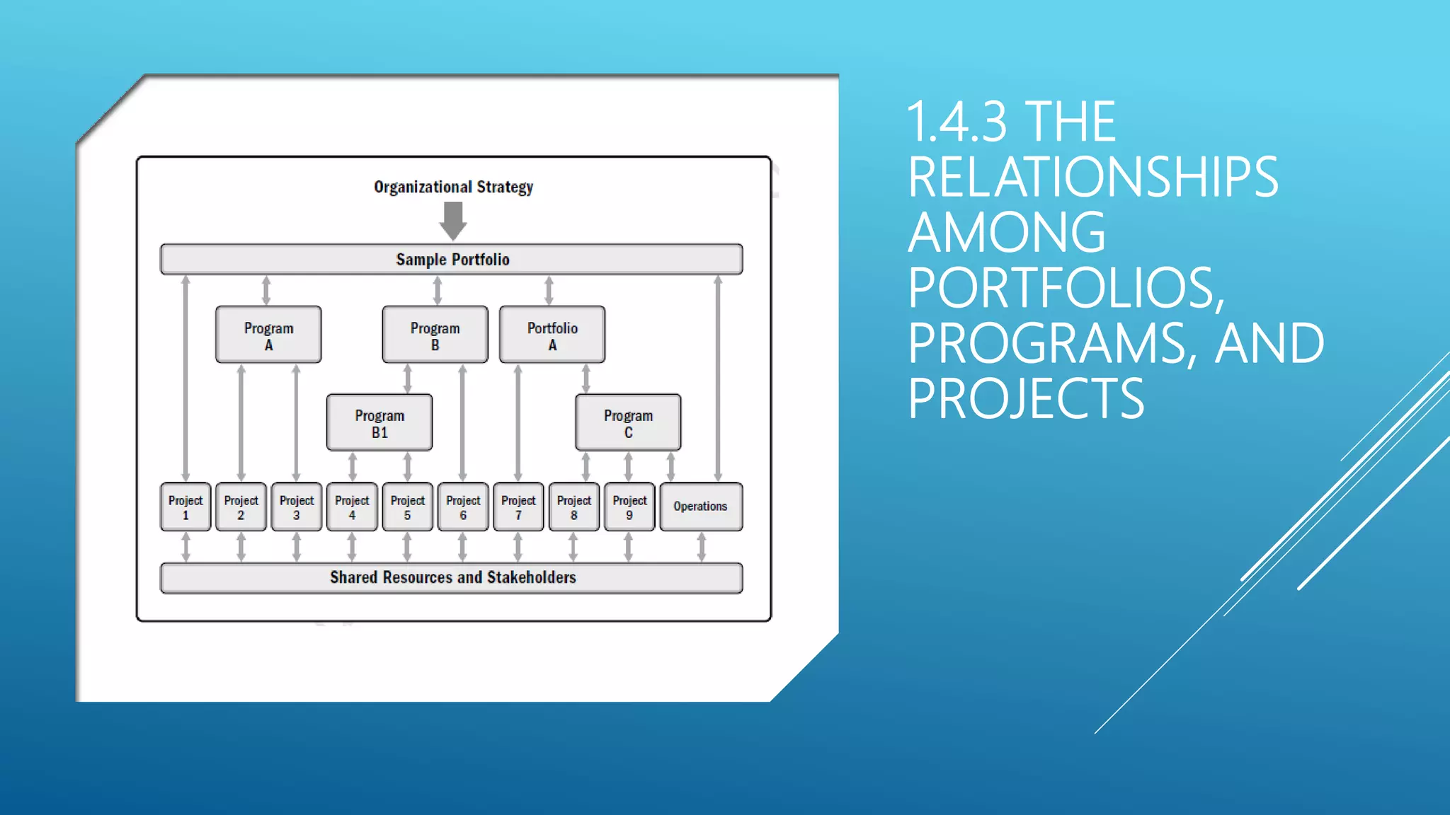 1.4.3 THE
RELATIONSHIPS
AMONG
PORTFOLIOS,
PROGRAMS, AND
PROJECTS
 