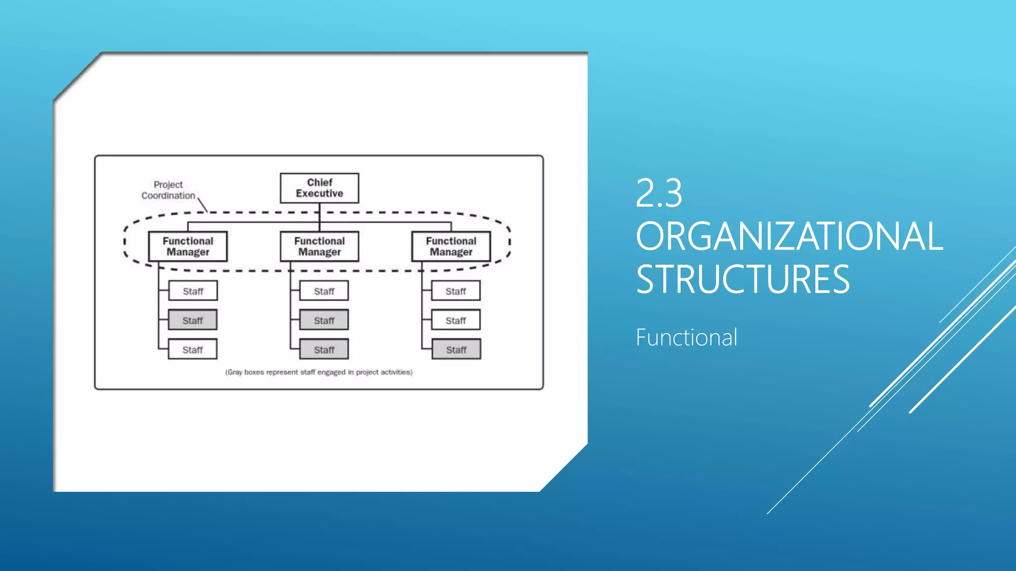 2.3
ORGANIZATIONAL
STRUCTURES
Functional
 
