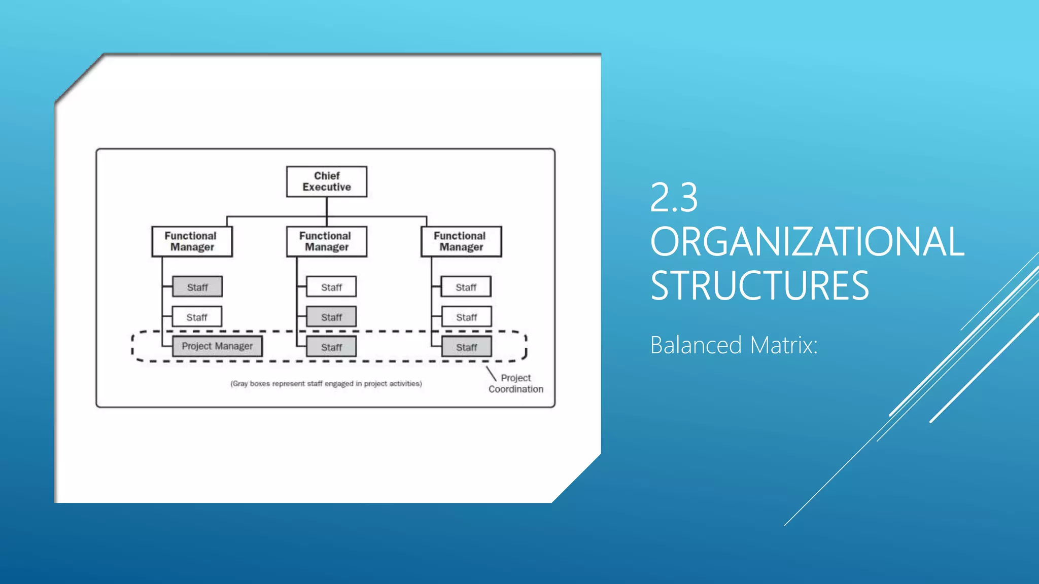 2.3
ORGANIZATIONAL
STRUCTURES
Balanced Matrix:
 
