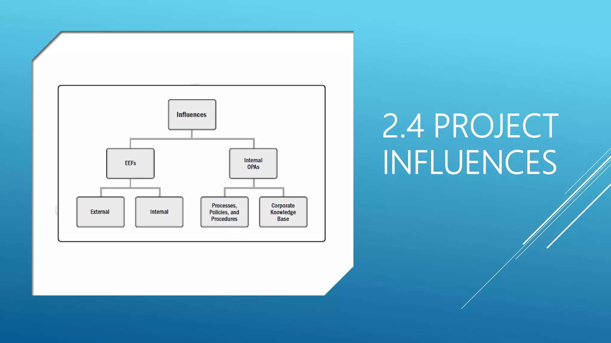 2.4 PROJECT
INFLUENCES
 