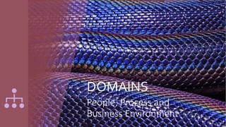 DOMAINS
People, Process and
Business Environment
 