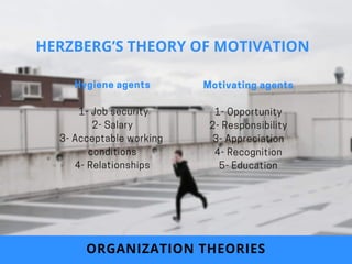 Hygiene agents
 1- Job security
2- Salary
3- Acceptable working
conditions
4- Relationships
Motivating agents
1- Opportunity
2- Responsibility
3- Appreciation
4- Recognition
5- Education
ORGANIZATION THEORIES
HERZBERG’S THEORY OF MOTIVATION
 
