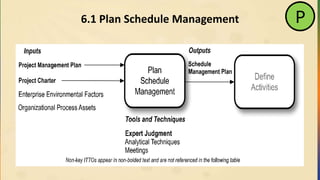 6.1 Plan Schedule Management P
 