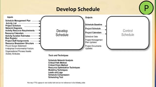 Develop Schedule P
 