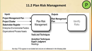 11.2 Plan Risk Management P
 