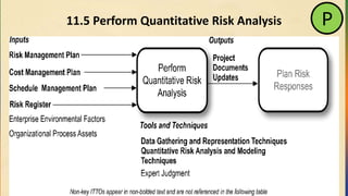 11.5 Perform Quantitative Risk Analysis P
 