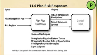 11.6 Plan Risk Responses P
 