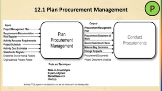 12.1 Plan Procurement Management P
 