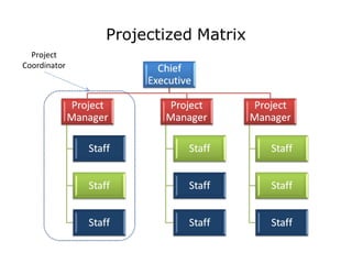 Projectized   Matrix Project Coordinator 