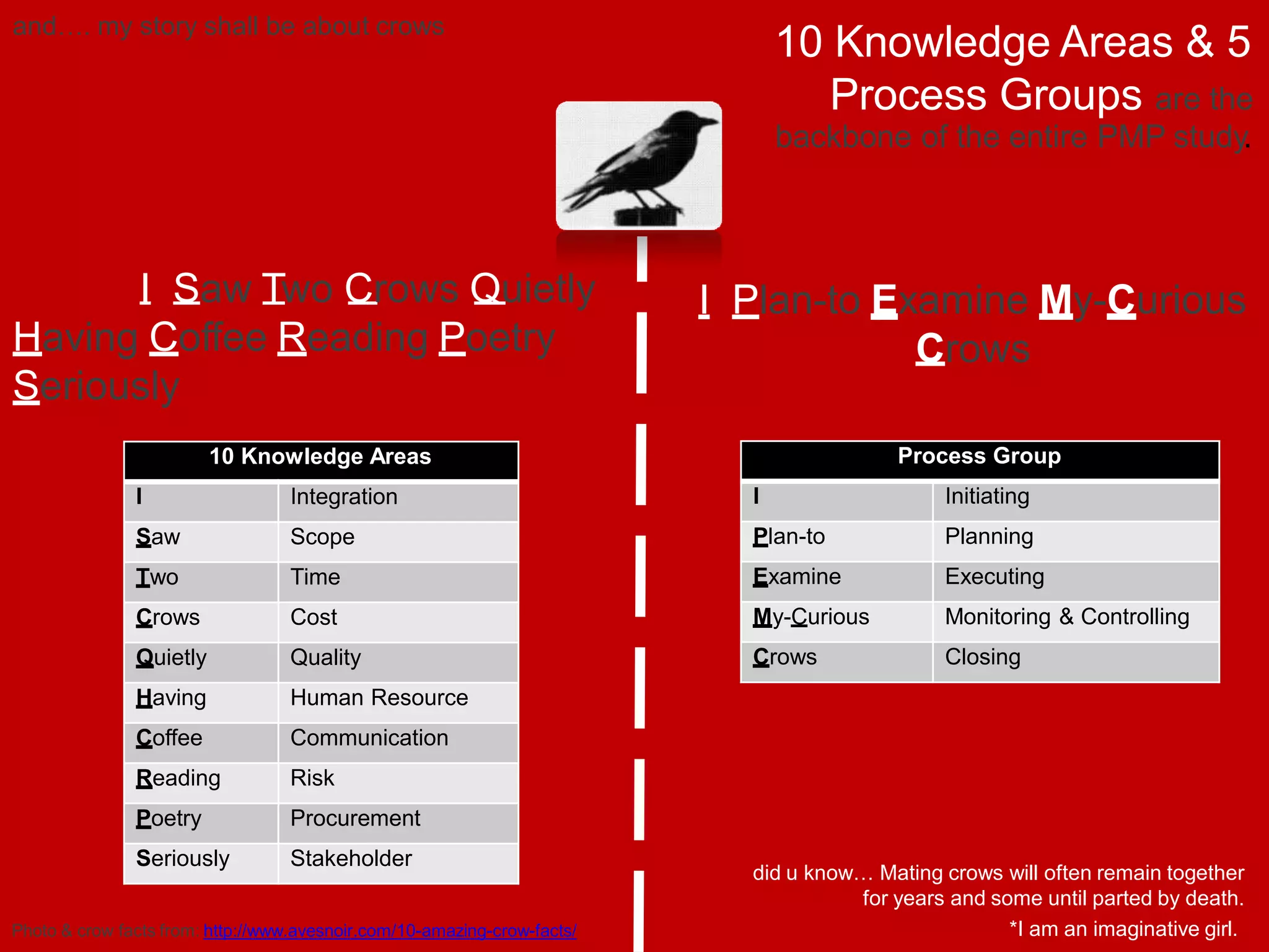 Photo & crow facts from: http://www.avesnoir.com/10-amazing-crow-facts/
and…. my story shall be about crows
did u know… Mating crows will often remain together
for years and some until parted by death.
*I am an imaginative girl.
I Saw Two Crows Quietly
Having Coffee Reading Poetry
Seriously
I Plan-to Examine My-Curious
Crows
10 Knowledge Areas & 5
Process Groups are the
backbone of the entire PMP study.
10 Knowledge Areas
I Integration
Saw Scope
Two Time
Crows Cost
Quietly Quality
Having Human Resource
Coffee Communication
Reading Risk
Poetry Procurement
Seriously Stakeholder
Process Group
I Initiating
Plan-to Planning
Examine Executing
My-Curious Monitoring & Controlling
Crows Closing
 