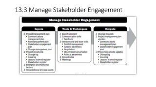 13.3 Manage Stakeholder Engagement
 