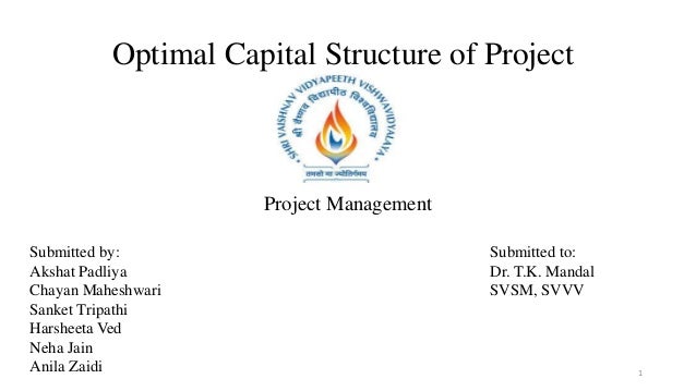 optimal capital structure master thesis