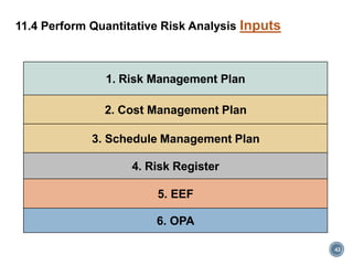 Pmp risk chapter 11 | PDF