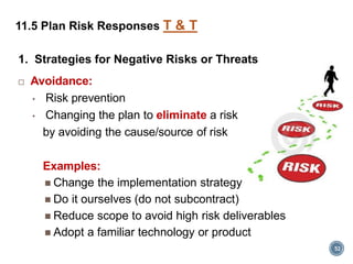 Pmp risk chapter 11 | PDF