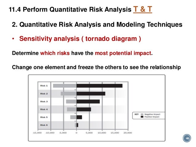 Risk Analysis Tornado Diagram