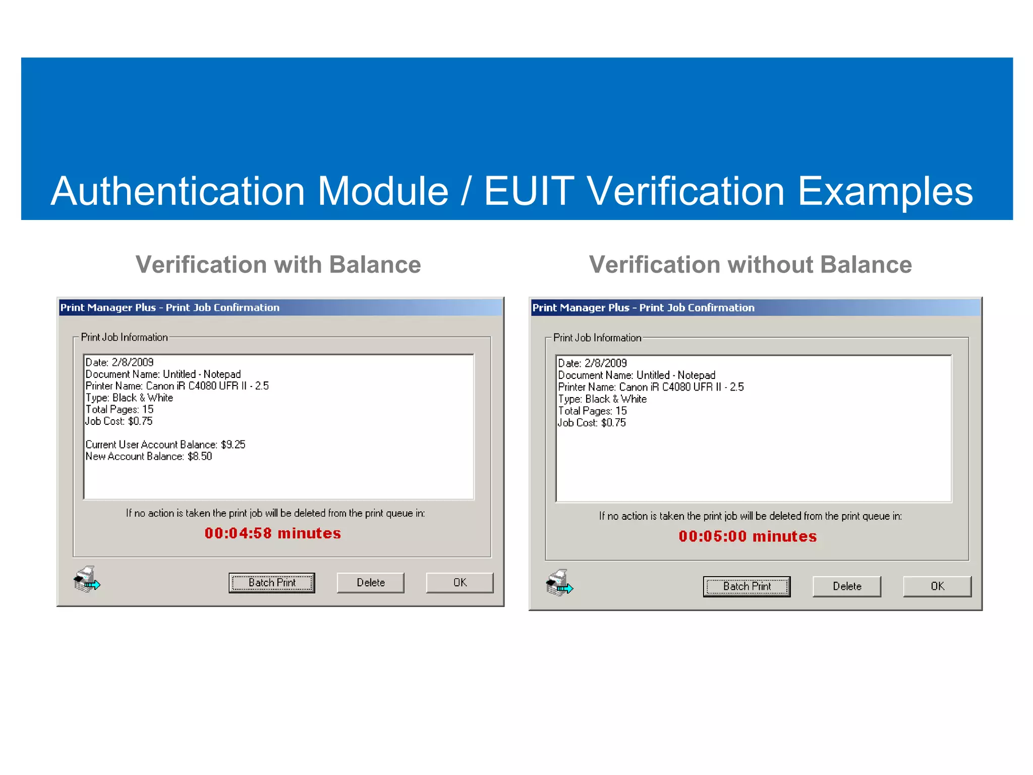 Authentication Module / EUIT Verification Examples
    Verification with Balance   Verification without Balance
 
