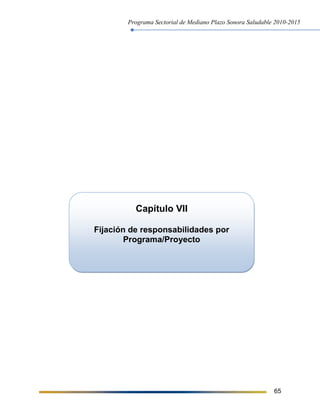 Programa Sectorial de Mediano Plazo Sonora Saludable 2010-2015
65
Capítulo VII
Fijación de responsabilidades por
Programa/Proyecto
 