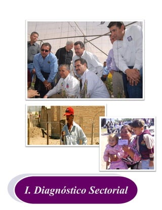 16
DIAGNÓSTICO SECTORIAL
I. Diagnóstico Sectorial
 